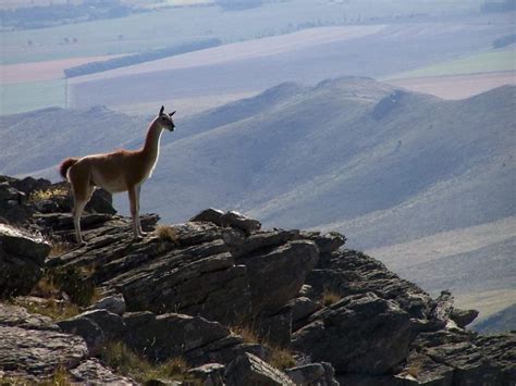 Turismoargentina On Twitter Sierra De La Ventana Provincia De