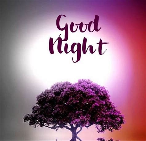 Pin Di Raya Bayramova Su Good Night