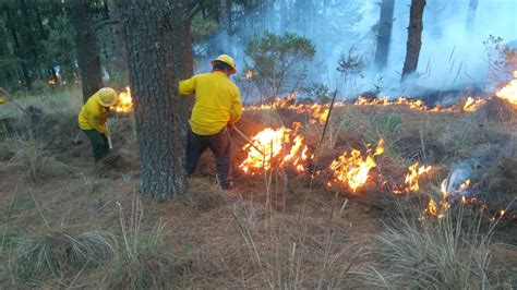 Registra Edomex 33 Menos Superficie Afectada Por Incendios Forestales