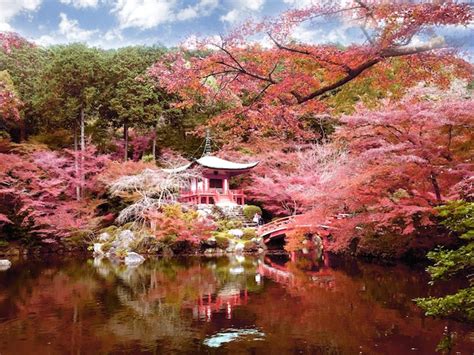 Premium Photo Daigo Ji Temple With Colorful Maple Trees In Autumn