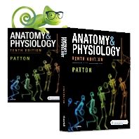 Anatomy Physiology E Th Edition Elsevier Shop