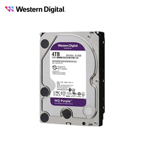 威騰 Wd 4tb 4t 紫標 監控硬碟 35吋 影音硬碟 三年保 Wd43purz 平價屋3c 樂天市場rakuten