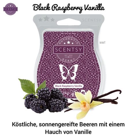 Scentsy Black Raspberry Vanilla