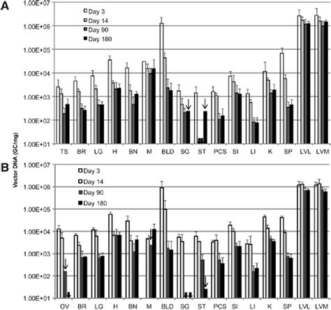 Time Course Of Biodistribution Of Aav Genomic Dna In Dko Mice Following