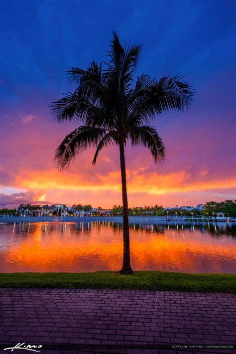 Downtown at the Gardens Explosive Sunset Coconut Tree | HDR Photography ...