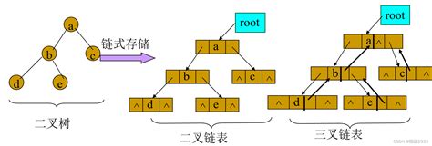 数据结构（超详细讲解！！）第二十四节 二叉树（上）二叉链表二叉树adt Csdn博客