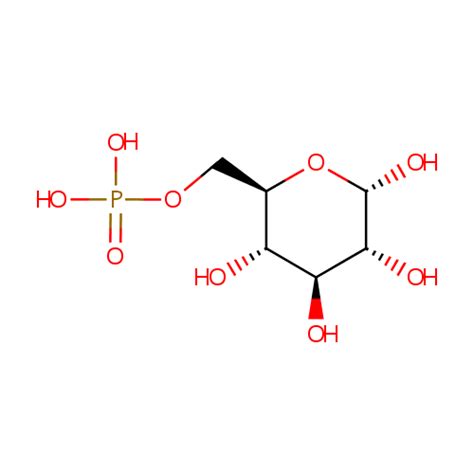 D Glucose Phosphate