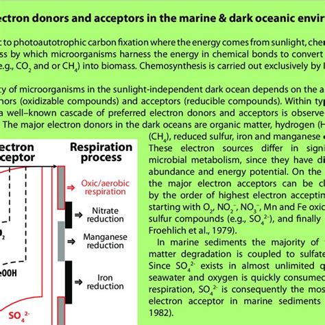 Schematic Representation Of The Broad Range Of Redox Active