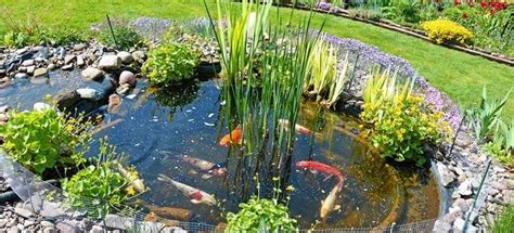 Fish Pond Fountain Installation In 7 Steps | DoItYourself.com