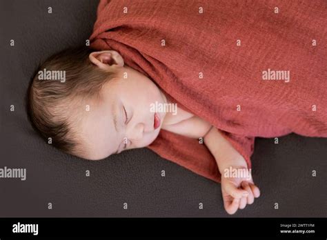 One Week Old Newborn Baby Girl Sleeping Wrapped In Cloth For Studio