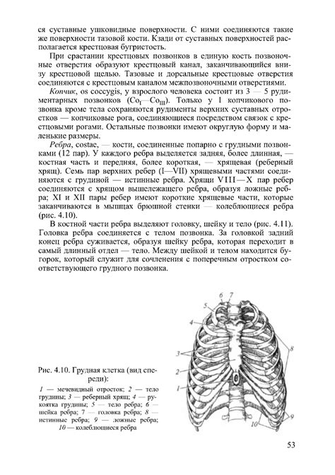 Анатомия и физиология человека - Гайворонский И.В. - 2011