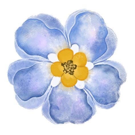 Light Blue Watercolor Flowers Watercolor Flower Flower Flowers PNG