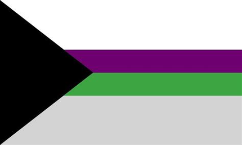 Demiaroace Flag Pride Flags Lgbtq Flags