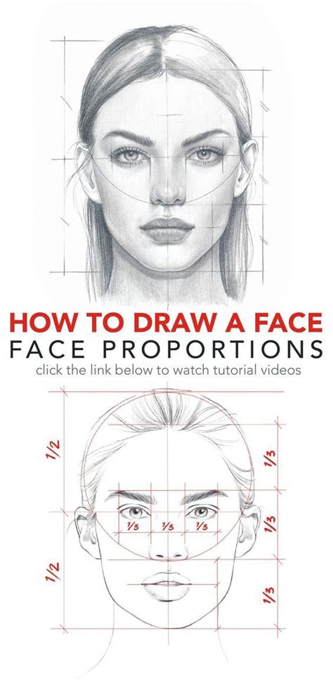 Como Desenhar Um Rosto Proporções Face Proportions Drawing Drawing