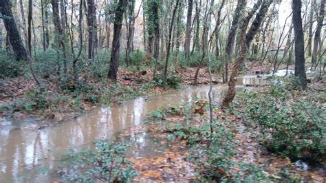 La Natura A La Baixa Tordera Comenen A Inundar Se Molts Sectors De La