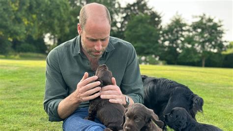prinz william verzaubert mit sussem foto  seinem geburtstag