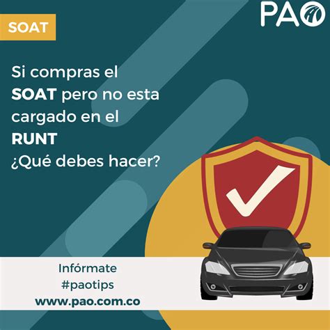 Si El Soat No Esta Cargado En El Runt Pao Tu Aliada En Tr Mites De