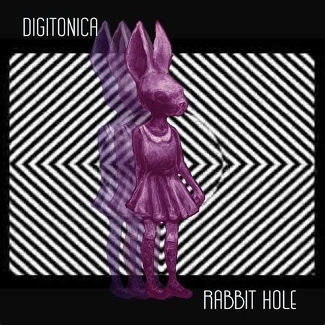 Digitonica Rabbit Hole Lyrics Genius Lyrics