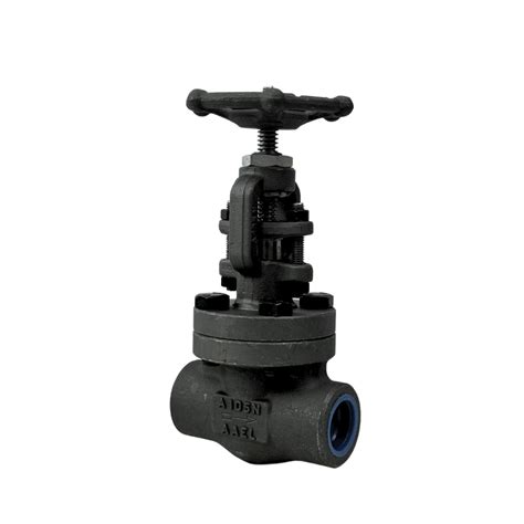 Class Globe Valve