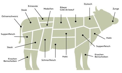 Welche Fleischst Cke Gibt Es Vom Rind Kaufnekuh