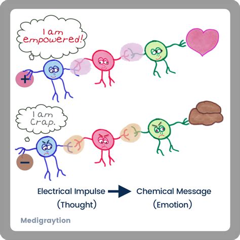 How Emotions Can Cause Disease in Your Body – Medigraytion