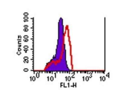 GFP Antibody FITC NB600 308F Novus Biologicals