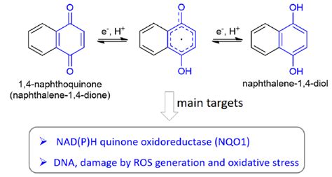 Redox Reactivity Of Naphthoquinones Here Shown For 1 4 NQ With The