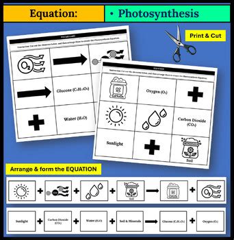 Ngss Ms Ls Photosynthesis Vocabulary Equation By Markimatics