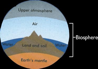 Ch The Biosphere Flashcards Quizlet