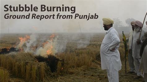 Ground Report Why Farmers Are Burning Stubble In Punjab Youtube