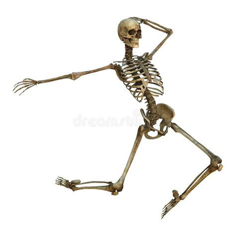 Dancing Skeleton Stock Illustrations 2 258 Dancing Skeleton Stock