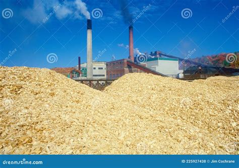 Estilhas De Madeira E Laminadores De Papel Foto De Stock Imagem De