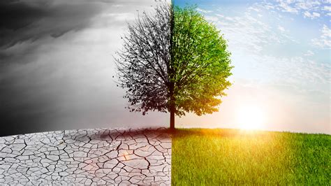 How Climate Change Can Affect Healthand What We Can Do About It Pfizer