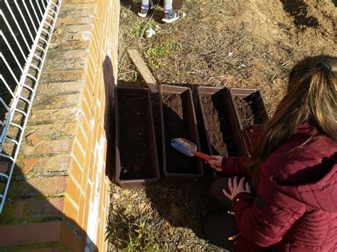 Huerto Escolar Ies Carmen Burgos De Segu Alovera Guadalajara