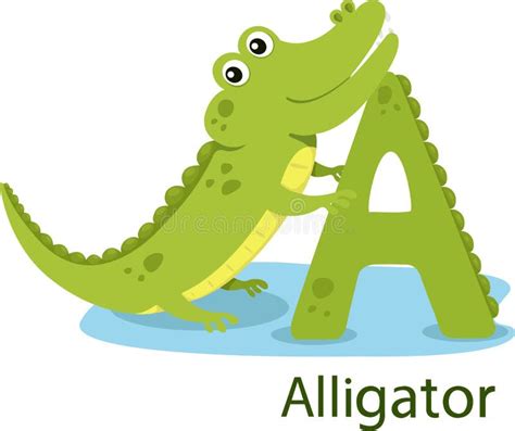 Cartoon Alligator With Alphabet A Stock Vector Illustration Of