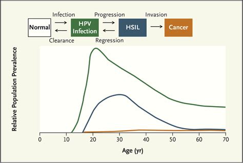 Core Concepts Human Papillomavirus Infection Self Study Lessons 2nd