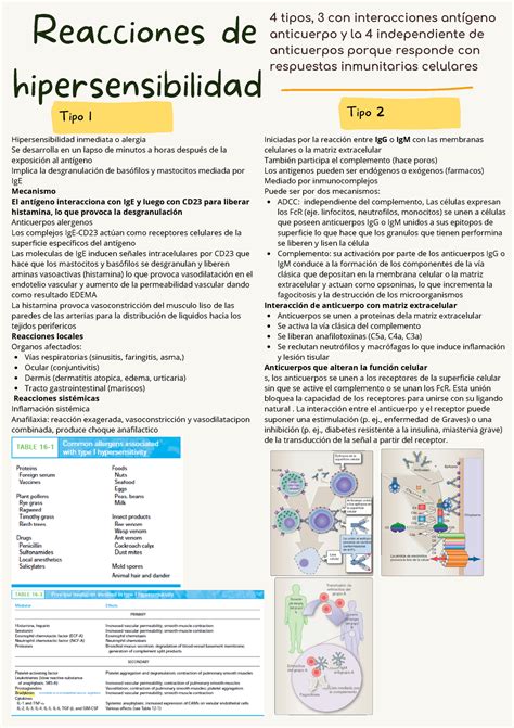 Reacciones De Hipersensibilidad Reacciones De Hipersensibilidad