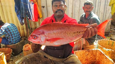 KASIMEDU SELVAM RED SNAPPER FISH CUTTING IN KASIMEDU HD VIDEO