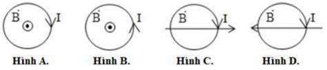 Solved M T Khung D Y D N Tr N C Ng T Trong T Tr Ng B Gi M D N