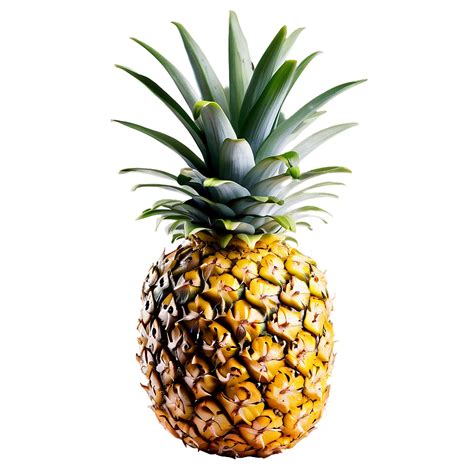 Download Pineapple Png 87