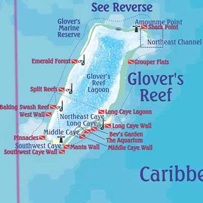 Dive Sites of Belize | Island Expeditions