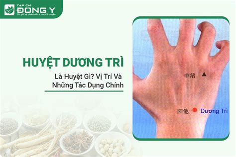 Huyệt Dương Trì Là Gì? Vị Trí Và Những Tác Dụng Chính