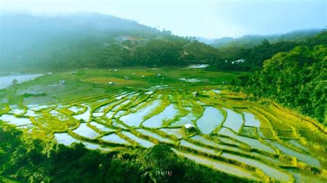 Đắk Lắk: A Guide to the Land of Coffee, Elephants, and Waterfalls - VIETNAM AMAZING