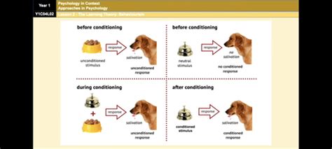 Behaviourism Flashcards Quizlet