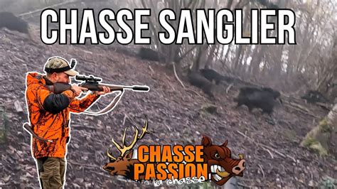 Chasse Sanglier En Battue Tir D Un Sanglier A Metres Youtube