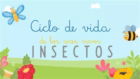 Ciclo De Vida De Los Seres Vivos Insectos Profesocial