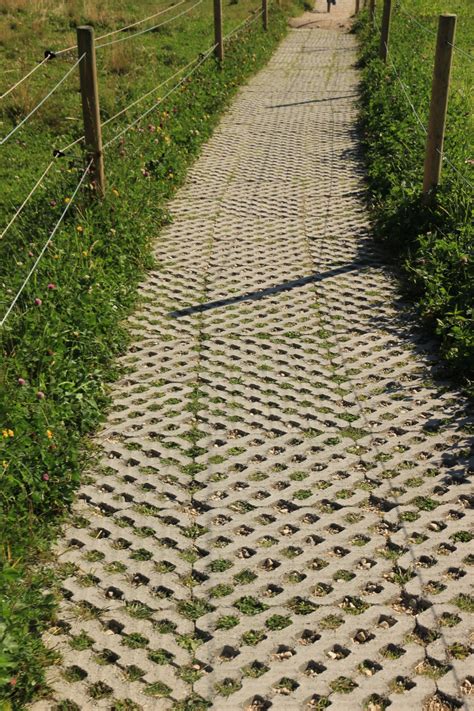 Gambar Jalur Halaman Rumput Daun Trotoar Batu Besar Dinding