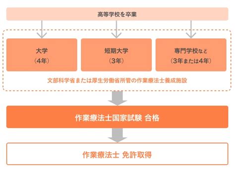 作業療法士（ot）になるには？資格を取得する最短ルート、仕事内容 教えてグッピー