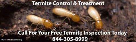 Termite Exterminator Termite Treatment Termites Pests