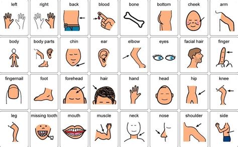 20 Best Pecs Images On Pinterest Speech Language Therapy Autism And